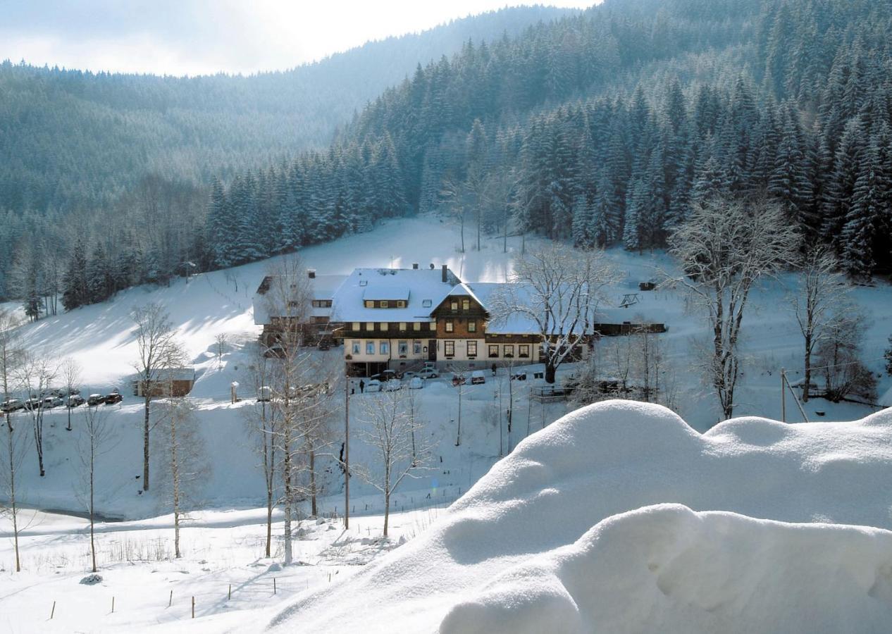 Waldhotel Fehrenbach Хинтерцартен Екстериор снимка