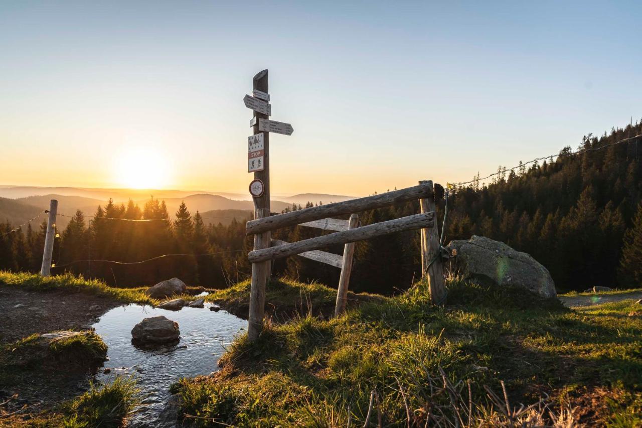 Waldhotel Fehrenbach Хинтерцартен Екстериор снимка