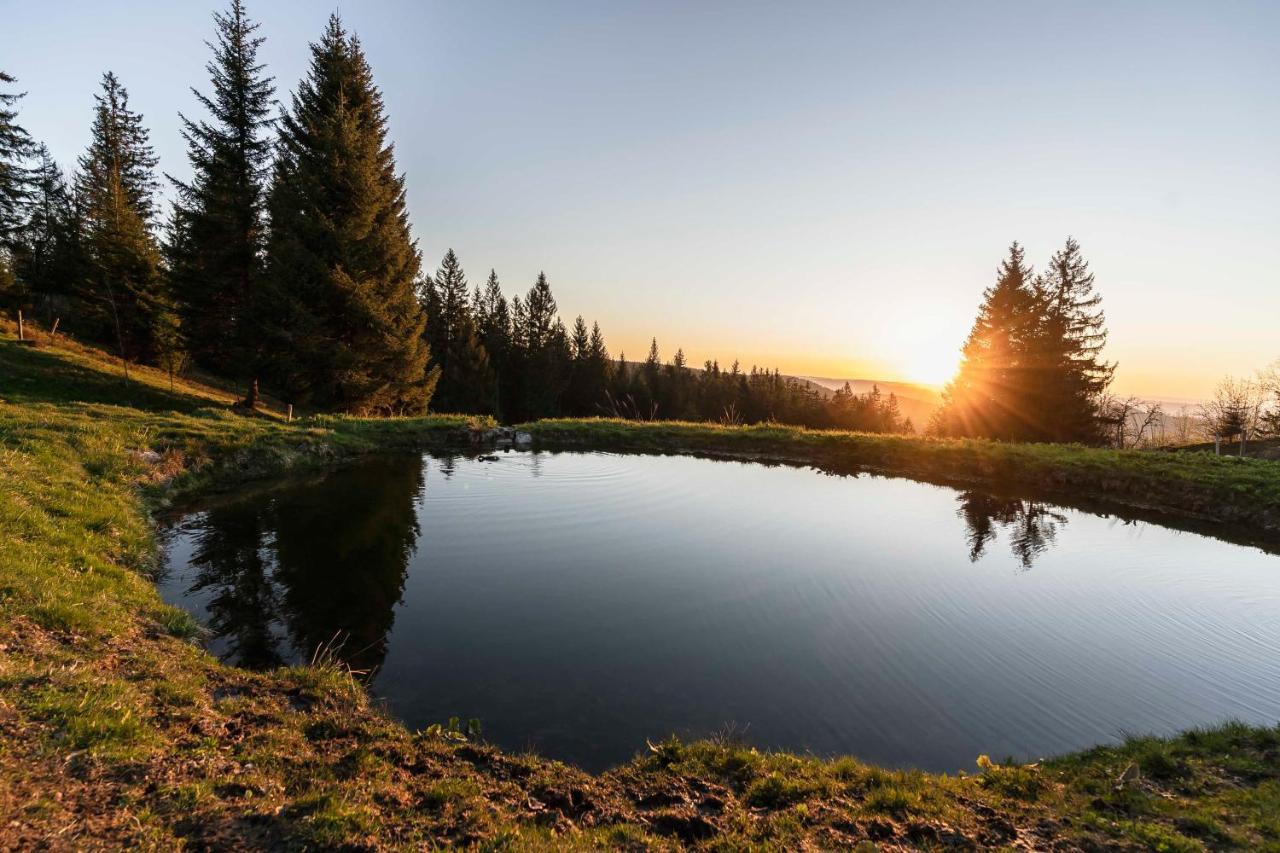 Waldhotel Fehrenbach Хинтерцартен Екстериор снимка
