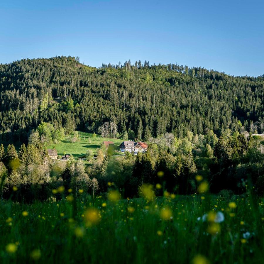 Waldhotel Fehrenbach Хинтерцартен Екстериор снимка